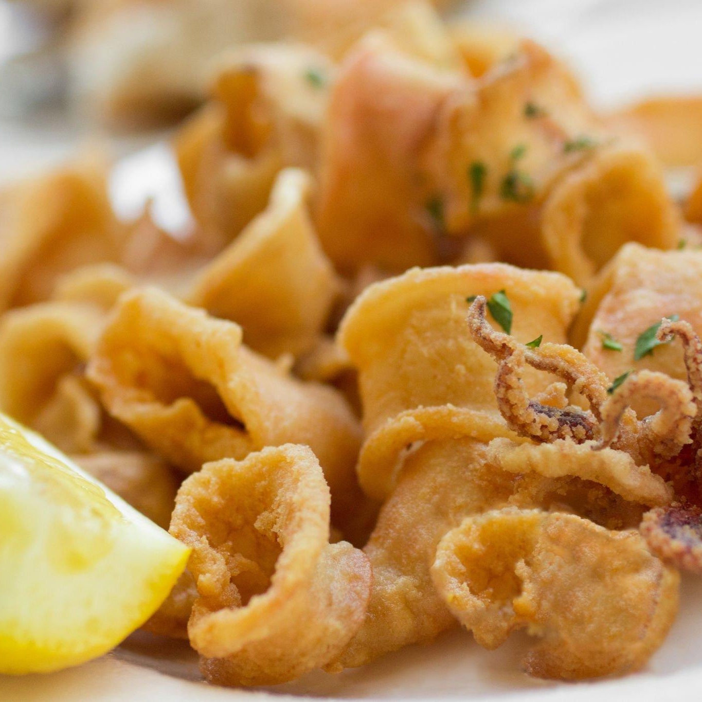 calamari fritti